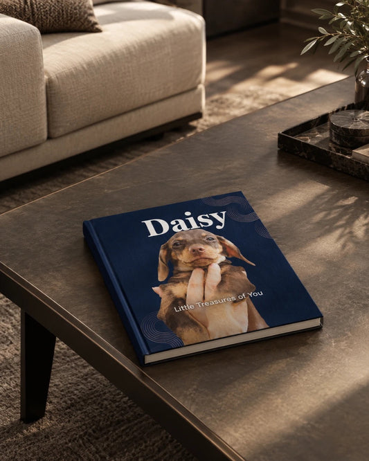 Photo Book